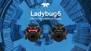 High Accuracy Spherical Imaging with Teledyne Ladybug6