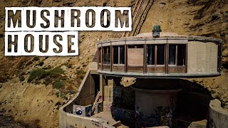 Secret Mushroom House In San Diego