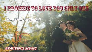 Video thumbnail of "Karen love song, Hser Hser Htoo & Saw Noel _ I promise to love you only ( lyrics )"