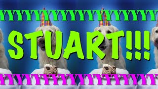 HAPPY BIRTHDAY STUART! - EPIC Happy Birthday Song