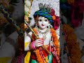 SRI SRI RADHA SHAYAM SUNDAR || KRISHAN BALRAM|| DIVYA DARSHAN | #iskcon #shortsvideo .#mithilanchal