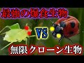 【ゆっくり解説】爆食最恐昆虫VS最恐クローン増殖生物の全容がヤバすぎた！