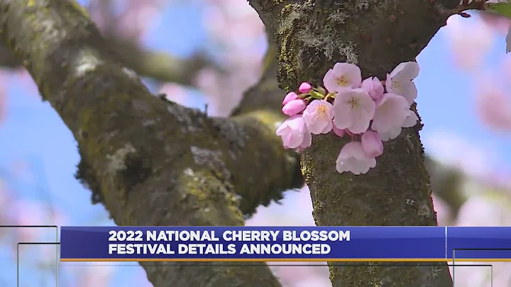 2022 National Cherry Blossom Festival details announced