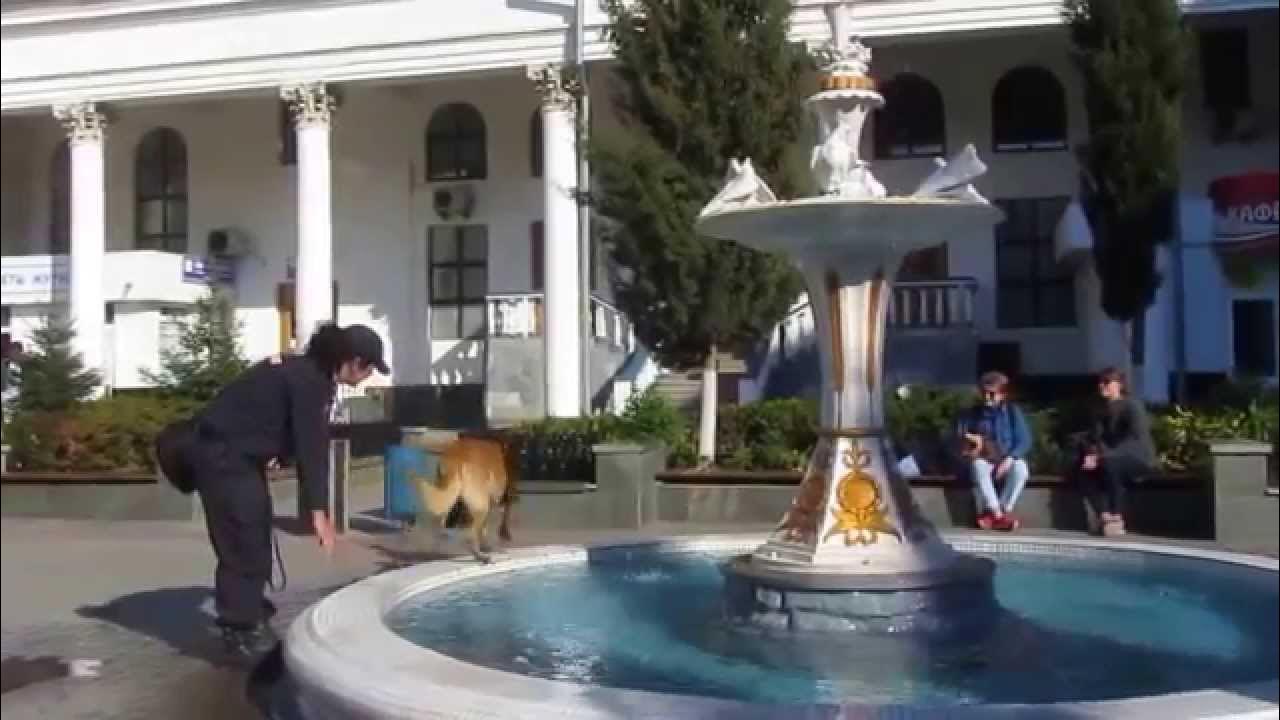 жд вокзал симферополь партенит