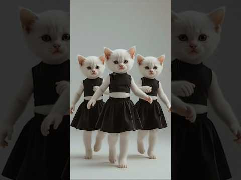 نغزة نغزة نغزة       كيوت قطة بسه