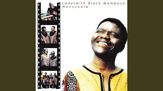 Iyahlonipha Lengane