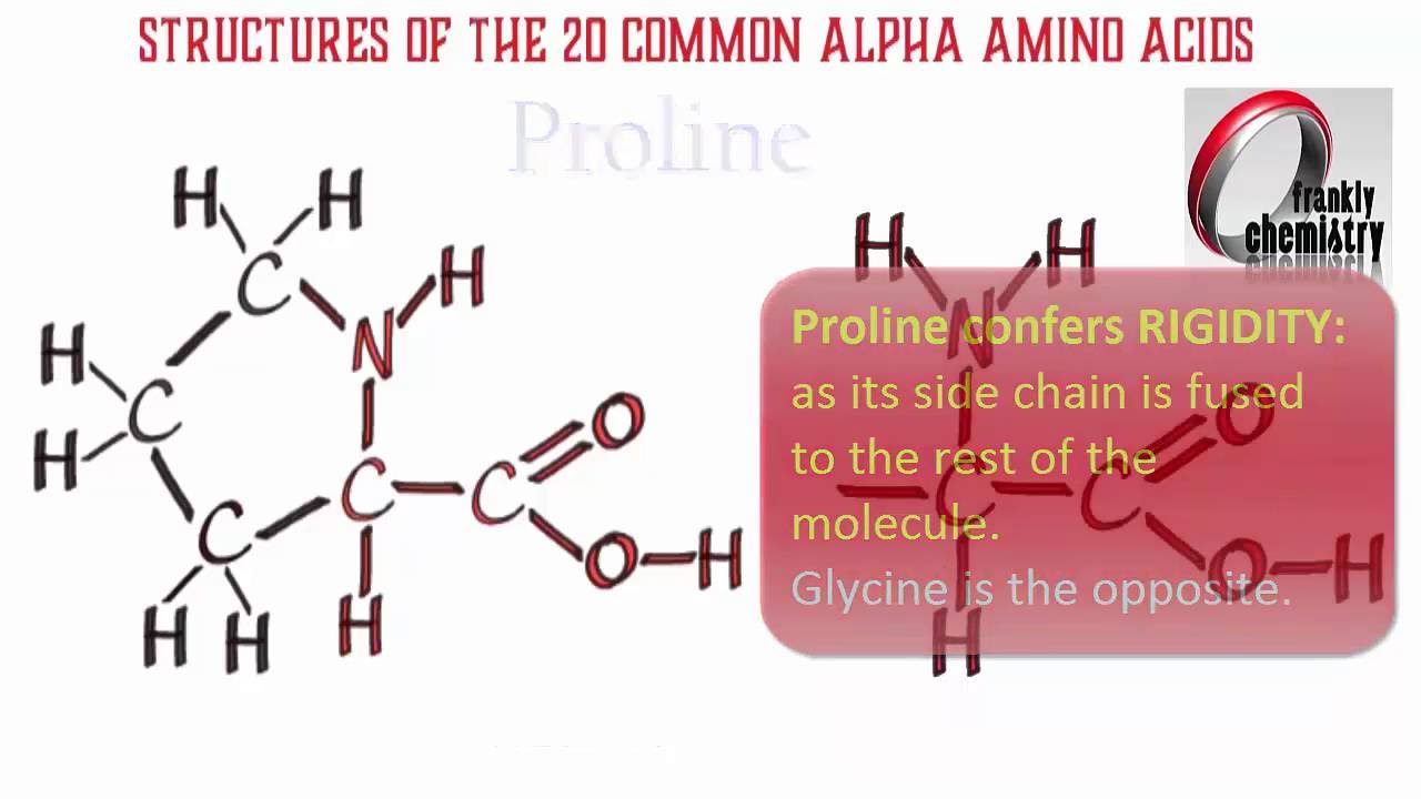 20 Amino Acid Structures Chart