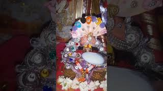 Ladu Gopal jii harekrishnaarts shortsviral maiya laddugopalji ytshorts krishnastatus laddugop