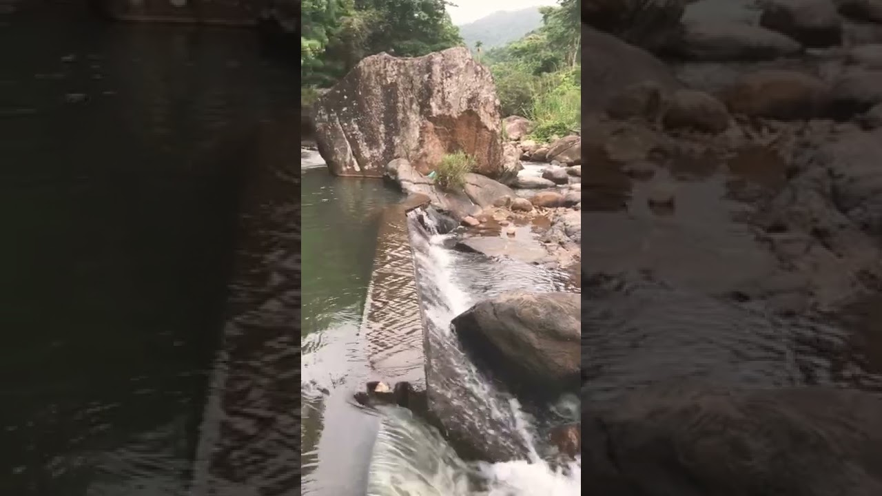 Do you wanna swim 😍 