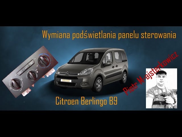 Citroen Berlingo 2/ Peugeot Partner Tepee Fensterheber und  Fensterheberschalter tauschen - Tutorial 
