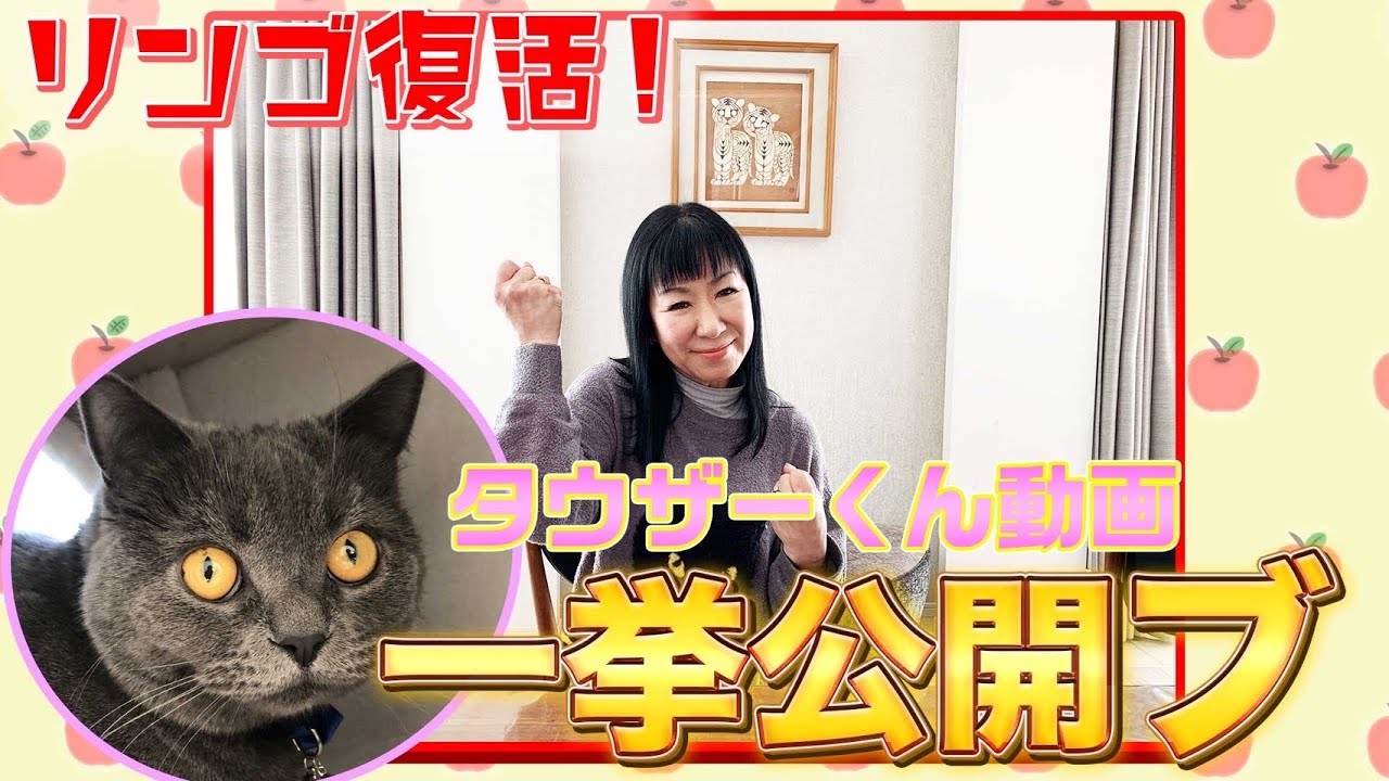 #080【リンゴ復活！】愛猫タウザーくんの近況動画まとめました！