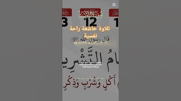 تلاوة خاشعة راحة نفسية #حور #muslimah #اكسبلور #المصحف #تيك_توك #دويتو #قصص #muslim #muslims #قرآن