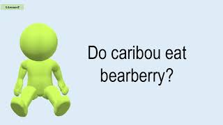 Do Caribou Eat Bearberry?