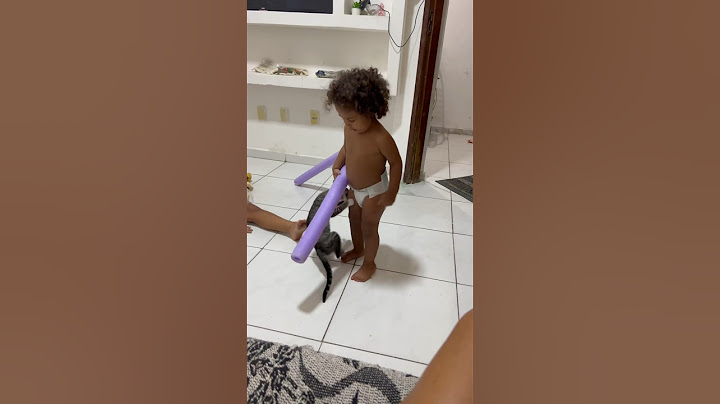 Paçoquinha atacou Lucas