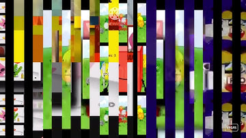 Scan vs Round 211 vs Everyone