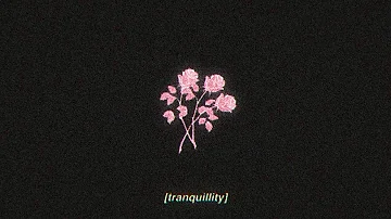 tranquillity - lofi hip hop beat / FREE FOR PROFIT USE