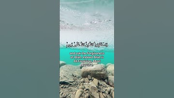تلاوة من سورة#البقرة بصوت القارئ #عبدالرحمن_مسعد #ارح_سمعك #قرآن #quran #explore #اكسبلور #لايك