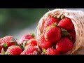 ١٠ فوائد لقشور الفاكهة فلا ترميها بعد اليوم - YouTube