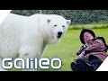 Die außergewöhnlichsten Haustierbesitzer der Welt | Galileo | ProSieben