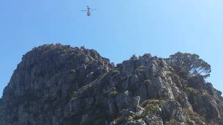 Rescue from lions head by helicopter (rescue)