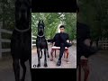 Great Dane transformation