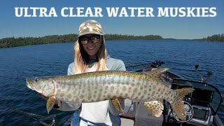ULTRA CLEAR WATER MUSKIES (BIG BAIT TIPS)