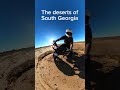 SOUTH GA GOT DESERTS #ridesafe #bikelife #grom #grom #hondagrom #stuntriders