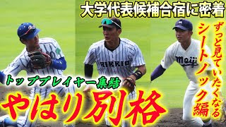 【名手揃い】奈良間に山田、宗山など大学トップクラスが魅せる華麗な守備！ハイレベルな合宿に密着