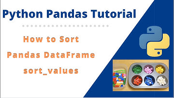 #9 How to Sort Python Panda DataFrame Values in Ascending or Descending Order
