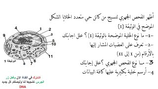 تمارين فروض واختبارات الفصل الثاني علوم طبيعية السنة الثانية ثانوي 2 ع ت | 4