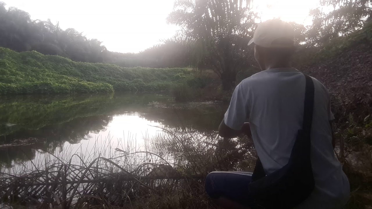 Mancing pake umpan cicak