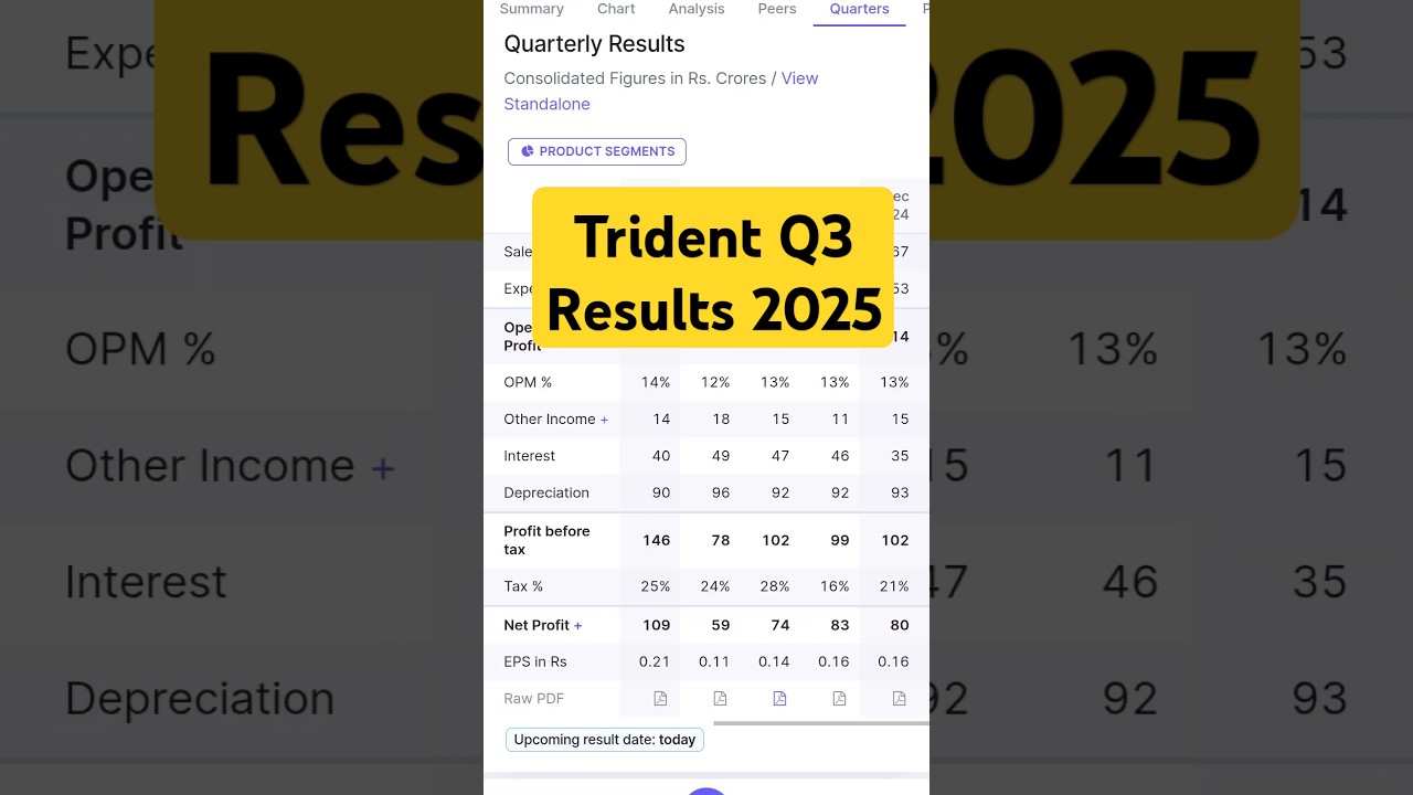 Trident Q3 Results 2025 | Trident Q3 Results | Trident Quarter 3 Result 2025