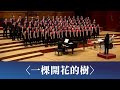 一棵開花的樹（席慕蓉詩／劉新誠曲）- National Taiwan University Chorus