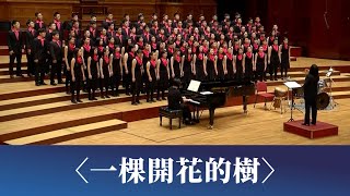 一棵開花的樹席慕蓉詩劉新誠曲 National Taiwan University Chorus