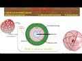 Atomic structure ( ପାରମାଣବିକ ଗଠନ), isotope(ସମସ୍ଥାନିକ), isobar (ସମବୟବ): part-1