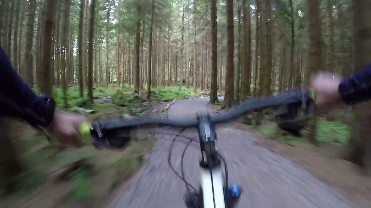 Banchory   Scolty Hill Mountail Biking