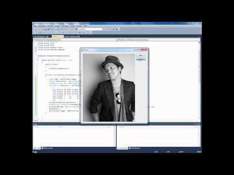 c# | Image Manipulation/Processing - Tutorial01 - gray and negative