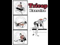 Tricep Workout_2 #2026 #TricepWorkout #ArmDay #GymMotivation #BodyweightWorkout #FitnessJourney