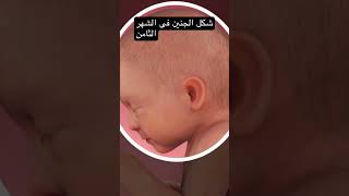 شكل الجنين فى الشهر الثامن من الحمل #حمل #جنين #حامل #