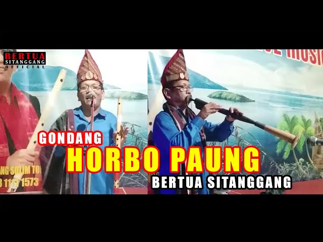 HORBO PAUNG BERTUA SITANGGANG class=