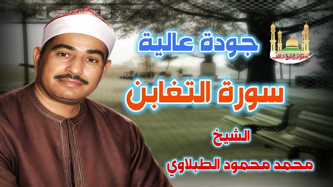 الشيخ محمد محمود الطبلاوي سورة التغابن