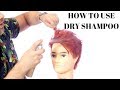 Best Way to Use Dry Shampoo - TheSalonGuy