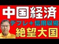 【中国経済!】 追加利下げも効果なし! 需要不足解消せず! 関連銘柄の株価低迷! 絶望が広がる! 【長期衰退!】