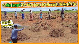 Quanglinhvlogs || Cả Bản Longoli Đến  Dọn Rễ Cây Giúp Trang Trại Quang Linh!