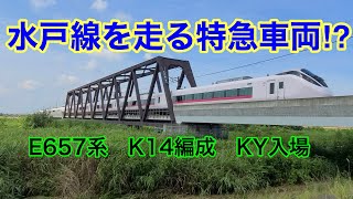 【E657系】特急車両が水戸線を走る!? E657系K14編成 KY入場