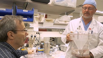 Scott L. Nyberg, MD, PhD - A Second Chance for More Liver Patients