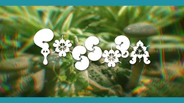 Björk - Fossora (Lyric Video)