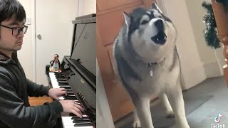 Piano Duet with Husky singing like a Diva