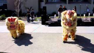 Famous Lion Dance @ 2013 CPP Asian New Year Celebration Net Worth