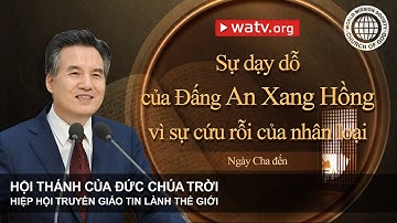 Ngày Cha đến | An Xang Hồng